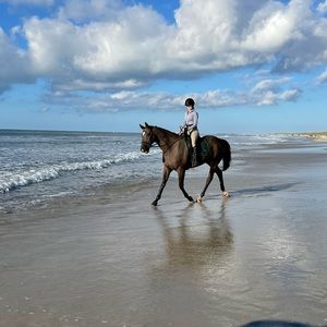 Meet your Posher, Tiffany